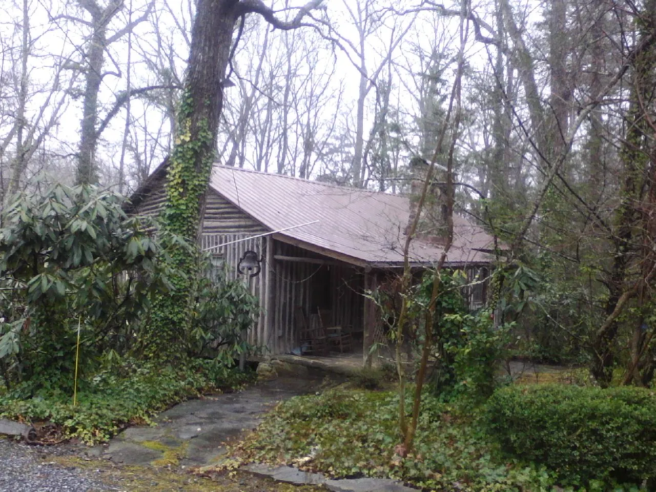Weathered metal roof on an old board sided cabin in the woods in Huguenot